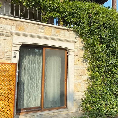 Foca Elies And Garden Homestay